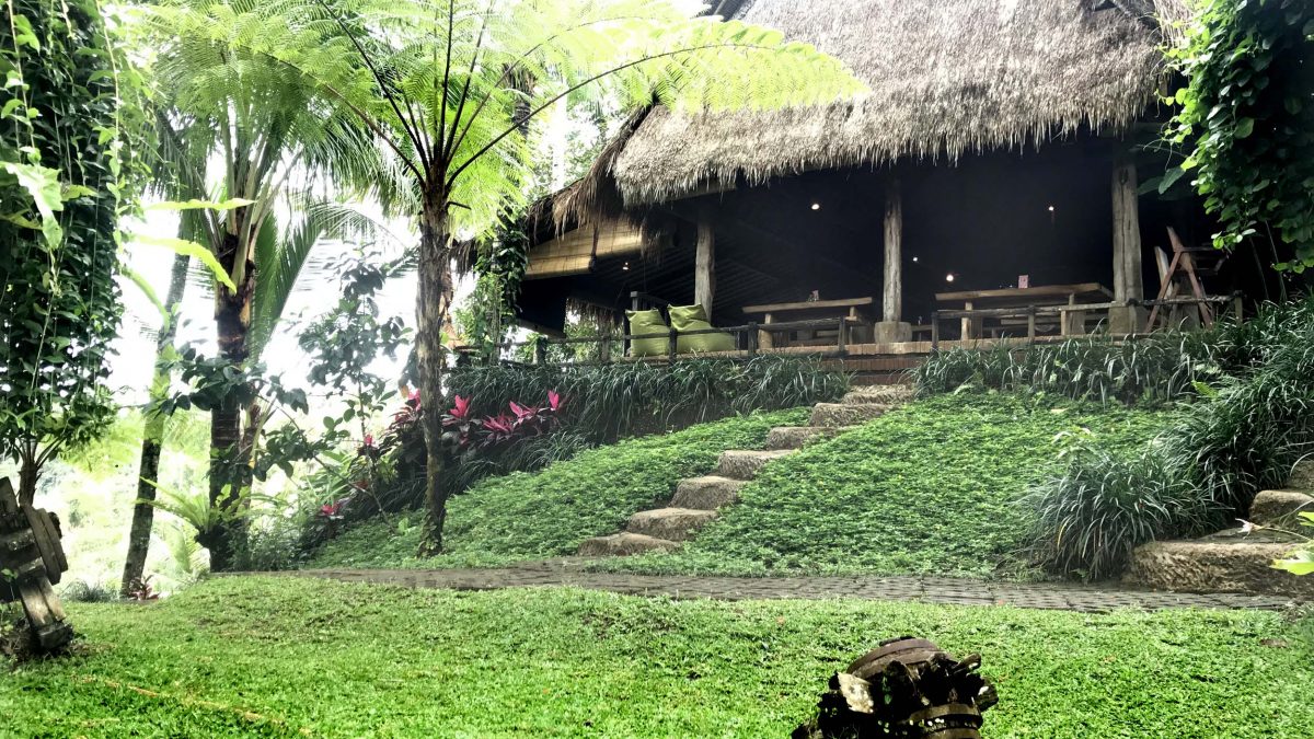 tropical dining ambience