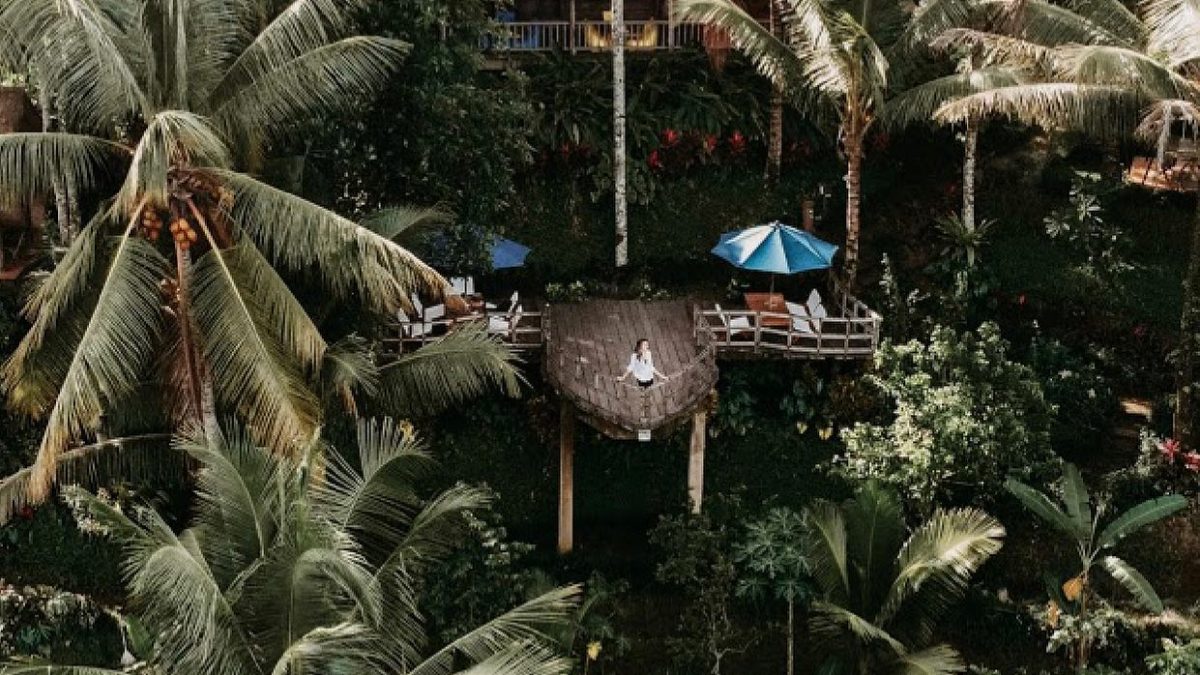 Local Ingredients Bali A Natural and Authentic Dining Journey