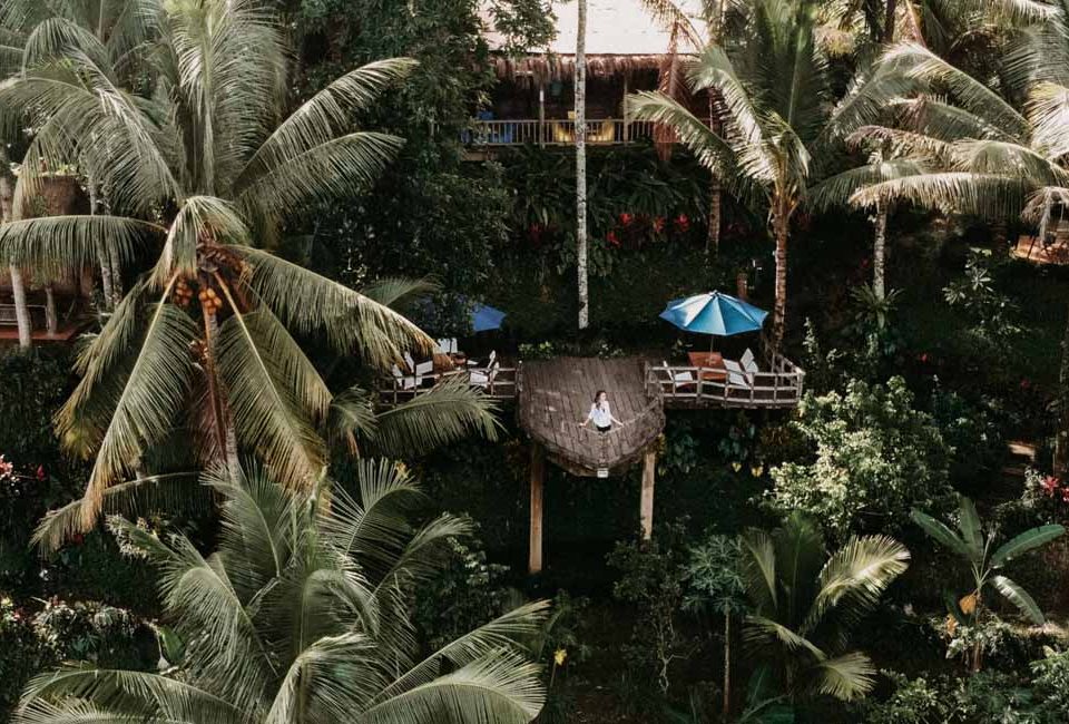 Valley Breeze Dining – A Tranquil Nature Restaurant Experience