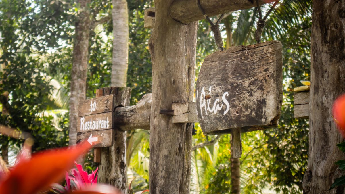 D-Alas Forest Dining restaurant in Bali surrounded by tropical greenery