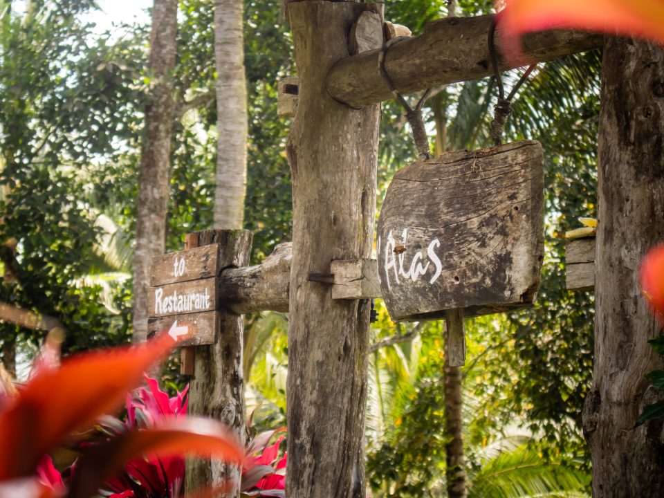 D-Alas Forest Dining restaurant in Bali surrounded by tropical greenery