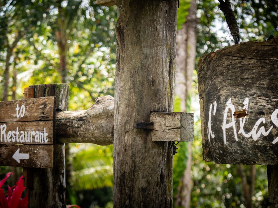 Balinese Food Experience Jungle Dining Escape Nature Dining Bali at D’Alas Restaurant forest dining view at Tegallalang nature spot D’Alas Restaurant