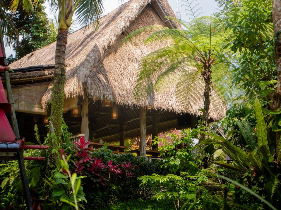 nature restaurant Ubud, dining experience Bali, nature restaurant Tegalalang, Indonesian culinary roots, refined dining experience, romantic dining Bali, scenic restaurant Tegalalang, Tegalalang food experience