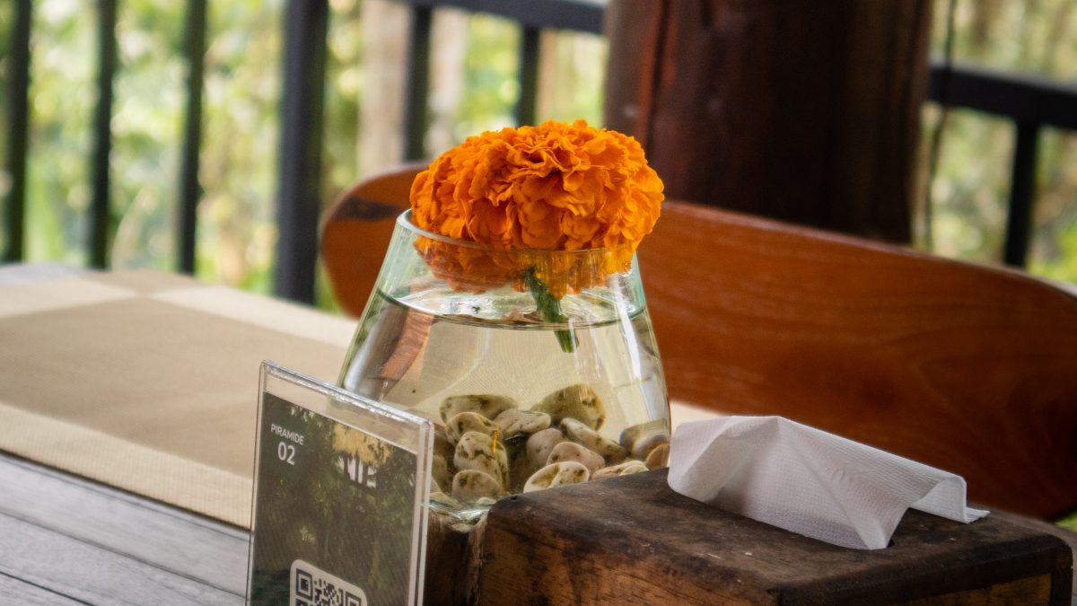 Romantic dinner Ubud at D’Alas Restaurant with forest view