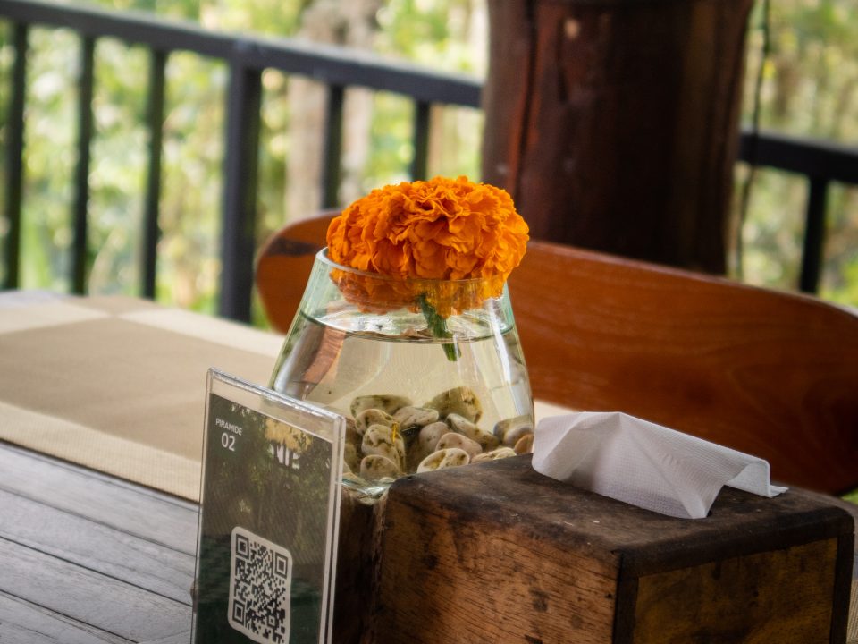 Romantic dinner Ubud at D’Alas Restaurant with forest view