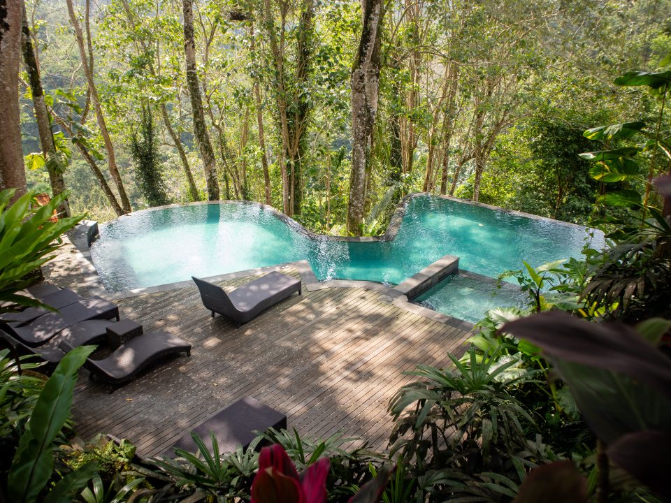 Ubud Jungle Restaurant