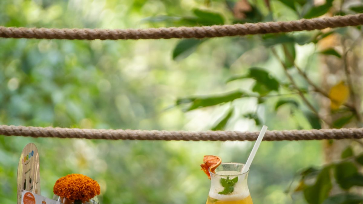 Natural View DiningForest Edge Dining