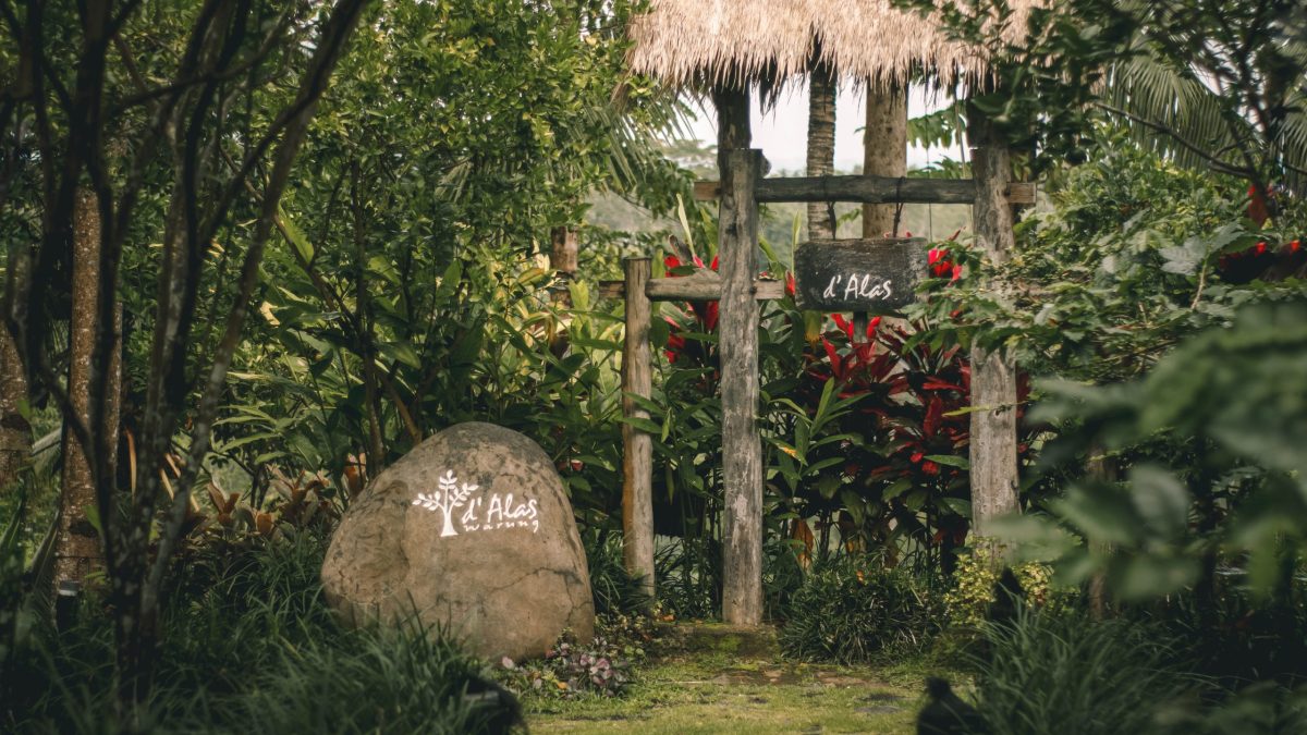 Instagrammable restaurant in Bali Ubud Culinary Escape Ubud Green Escape at D’Alas Restaurant with jungle and rice terrace views Forest dining experience at D-Alas Ubud surrounded by green jungle views Discover the Best Ubud Food Spot D'alas Restaurant