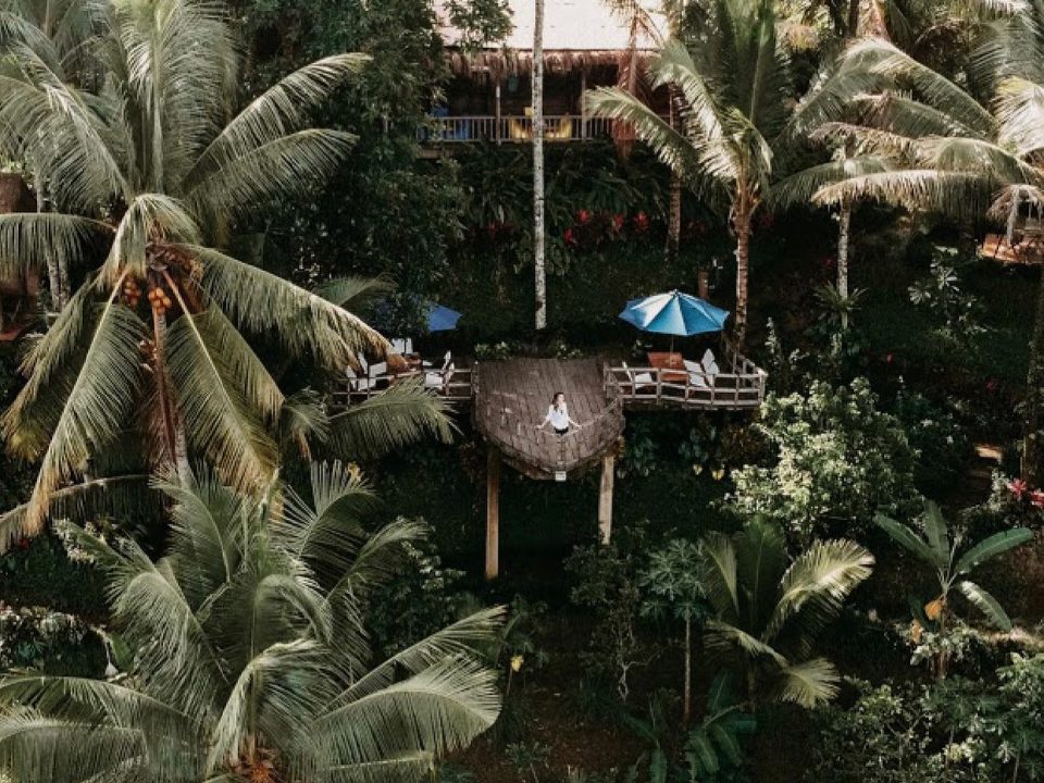 Nature dining experience Bali