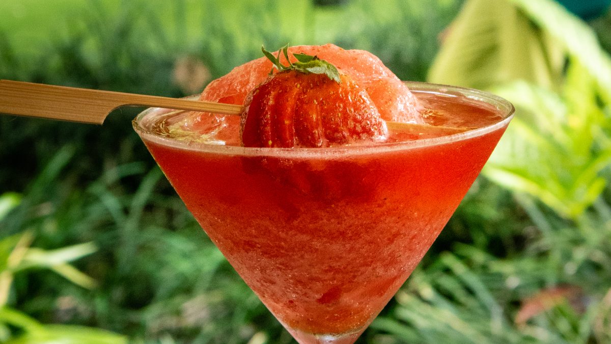 Guests enjoying food in a forestside culinary escape setting