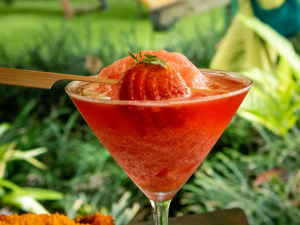 Guests enjoying food in a forestside culinary escape setting