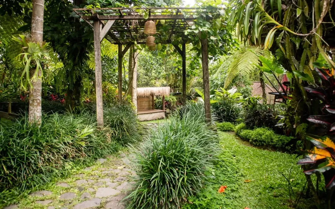 Scenic Restaurant Tegalalang A Nature-Focused Dining