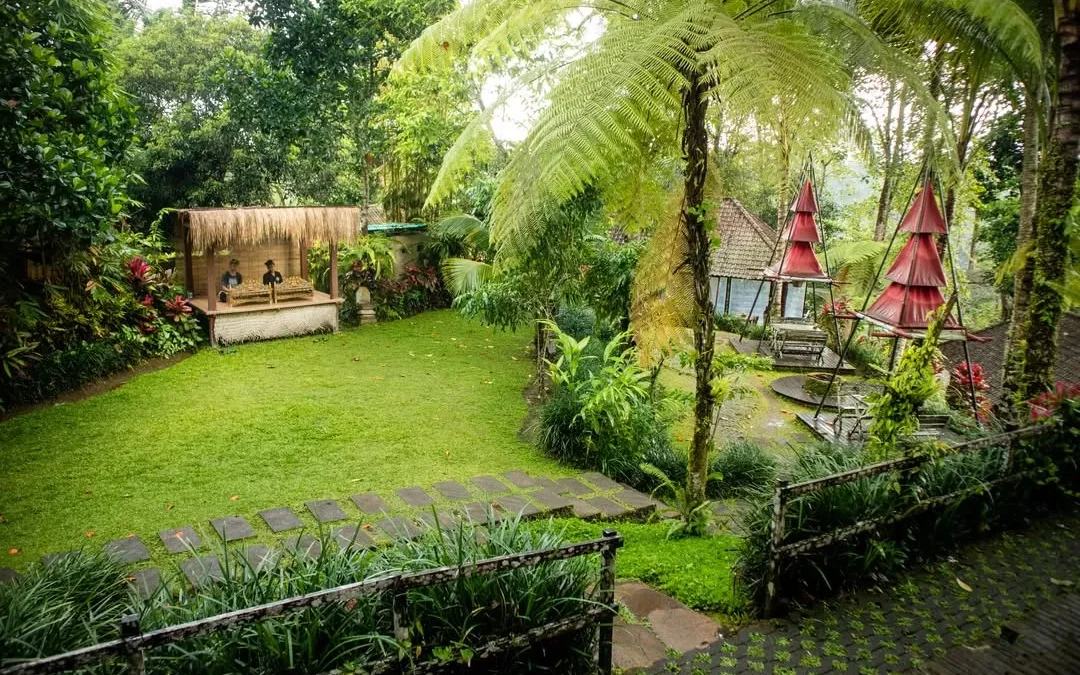 Relaxing Dining Bali: Your Ultimate Jungle Escape at D'alas